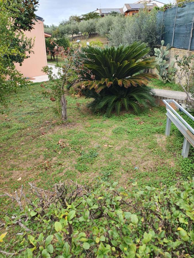 Casa Dell'Ape Maia Apartment Termoli Ngoại thất bức ảnh